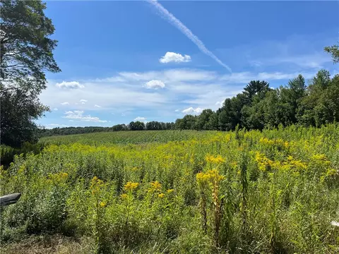 181 Short Crumhorn Rd, Maryland, NY 12116