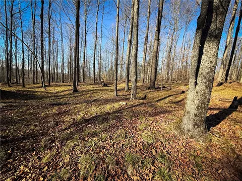 lot01 Langford Creek Rd, Van Etten, NY 14889