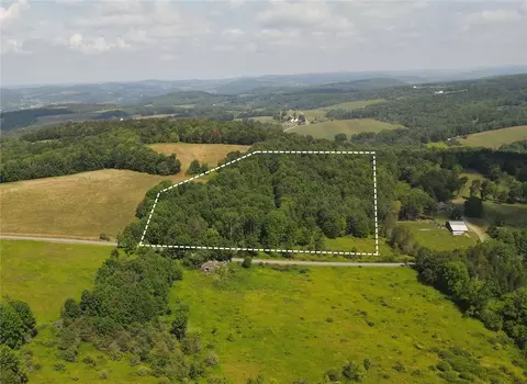 Ramey Road, Pittsfield, NY 13411