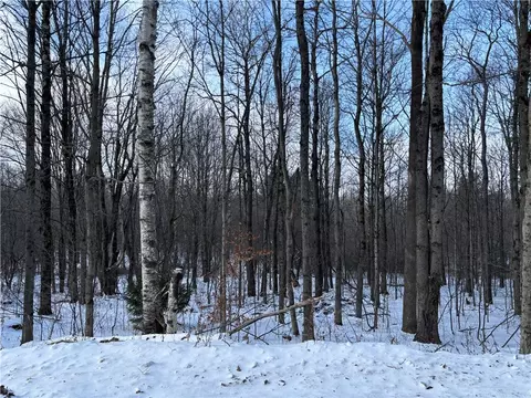 Smokey Avenue, Westford, NY 12155