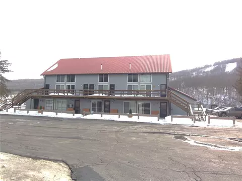 1912 State Route 392 UNIT 4, Virgil, NY 13045