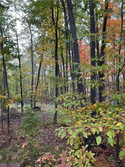 Steege Hill Road, Big Flats, NY 14830