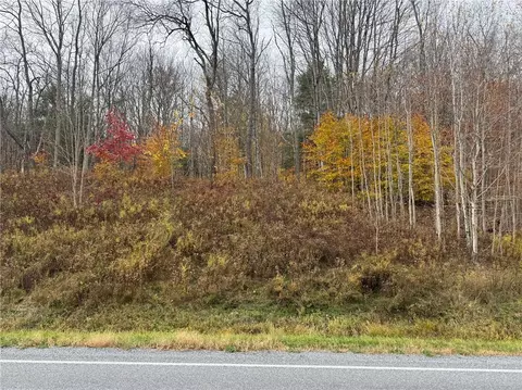 County Hwy 10, Meredith, NY 13757
