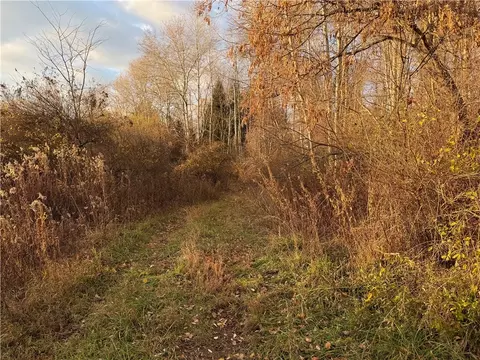 Benson, Victor, NY 14564