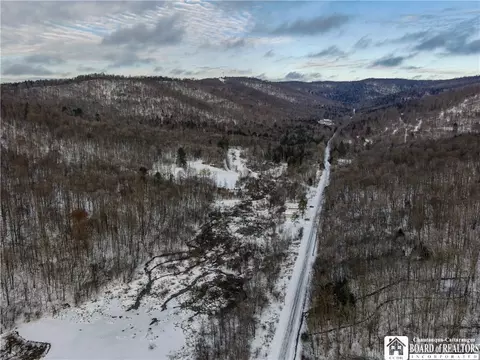 469 N Branch Rd, Eldred, PA 16731 photo 50