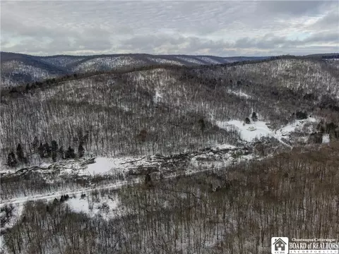 469 N Branch Rd, Eldred, PA 16731 photo 47