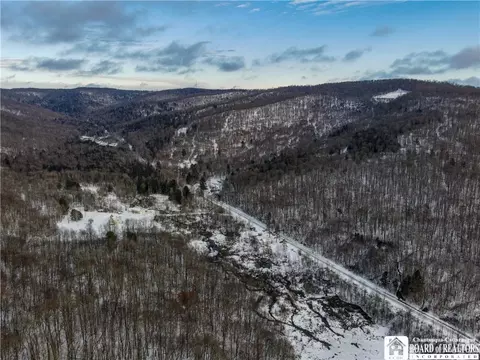 469 N Branch Rd, Eldred, PA 16731 photo 48