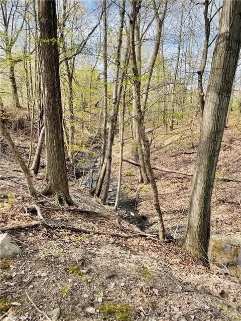 View/Area - Rt-14, Torrey, NY 14878 photo 8 of 14