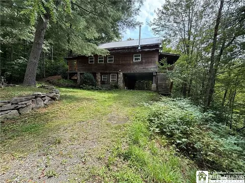 1134 Aka 235 State Route 248, Rexville, NY 14877