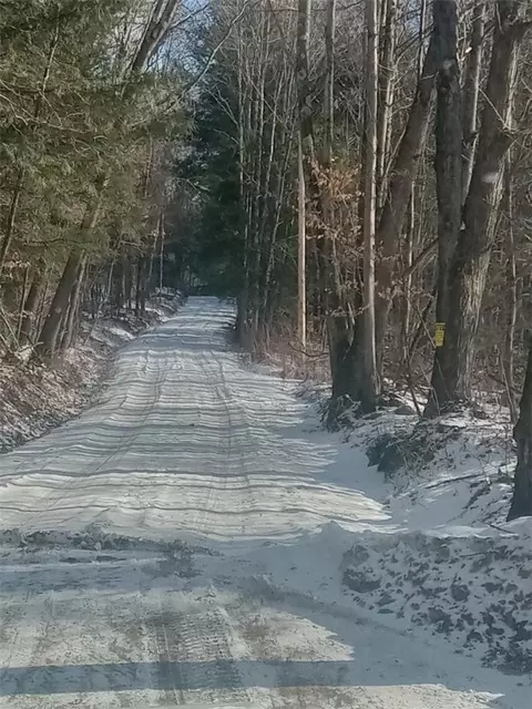 Burdick Hill Road, Otego, NY 13825