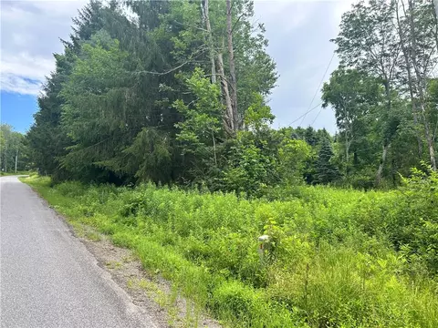 lot4 Sisson Hill Rd, Unadilla, NY 13849