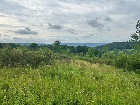 Sisson Hill Road, Unadilla, NY 13849