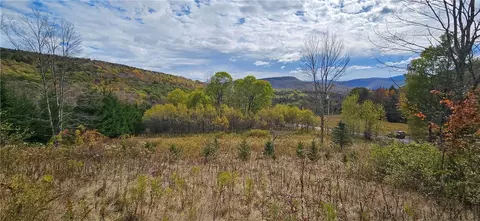 Shaver Hollow, Andes, NY 13731