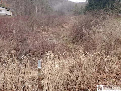 0 Steam Valley Rd, Olean, NY 14760 photo 19