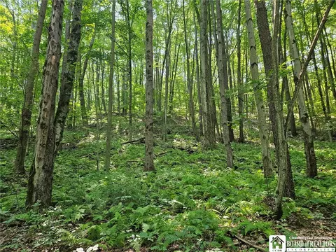 0 Steam Valley Rd, Olean, NY 14760 photo 9