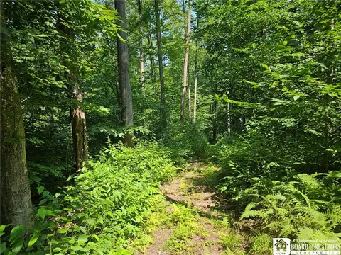 0 Steam Valley Rd, Olean, NY 14760 photo 14