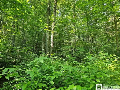 0 Steam Valley Rd, Olean, NY 14760 photo 15