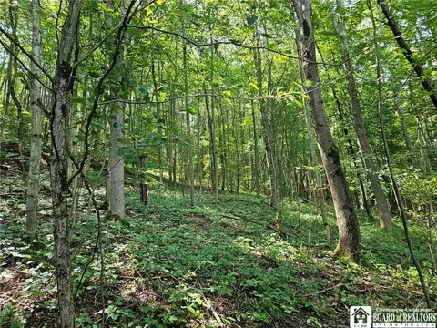 0 Steam Valley Rd, Olean, NY 14760 photo 17