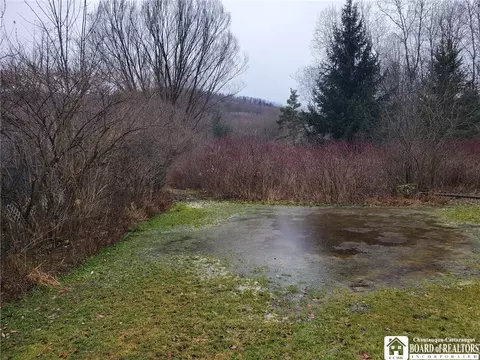 0 Steam Valley Rd, Olean, NY 14760 photo 6