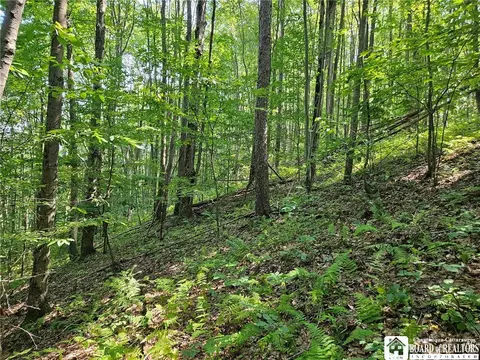 0 Steam Valley Rd, Olean, NY 14760 photo 11