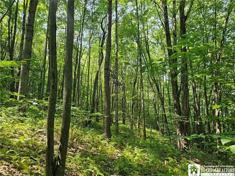 0 Steam Valley Rd, Olean, NY 14760 photo 12