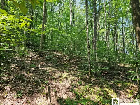 0 Steam Valley Rd, Olean, NY 14760 photo 16