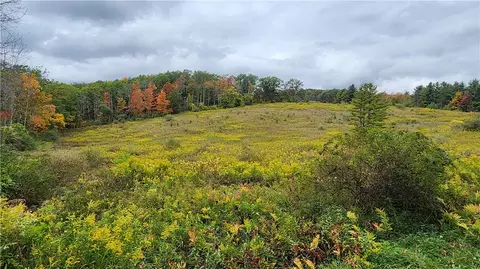 Hanyon Road, Canisteo, NY 14823