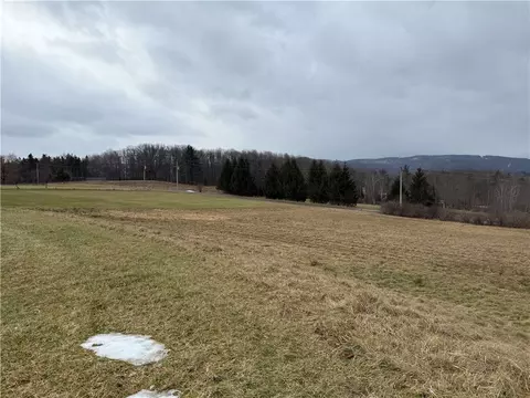 1025 Promised Land Rd, Portville, NY 14760 photo 8