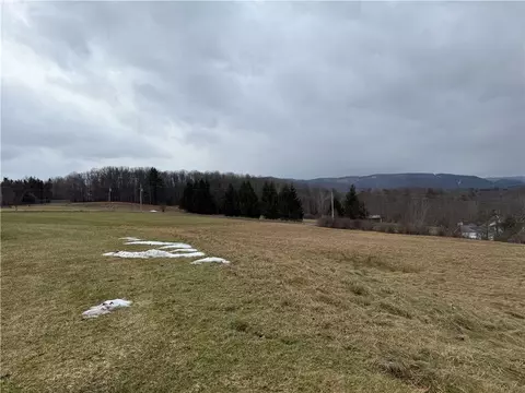 1025 Promised Land Rd, Portville, NY 14760 photo 7
