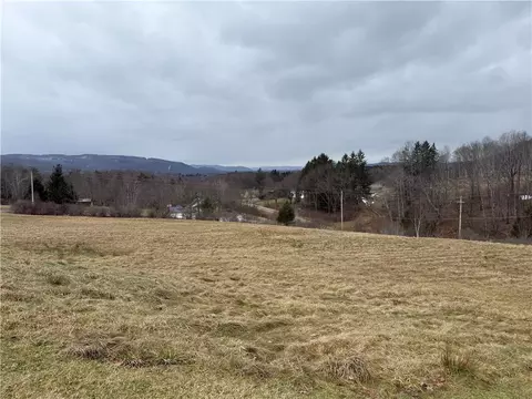 1025 Promised Land Rd, Portville, NY 14760 photo 6
