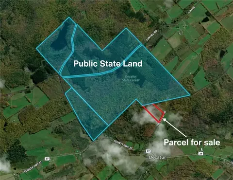 Mereness Road, Decatur, NY 12197