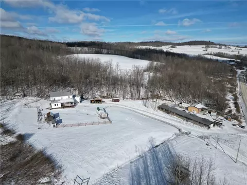 3533 County Route 82, Troupsburg, NY 14885