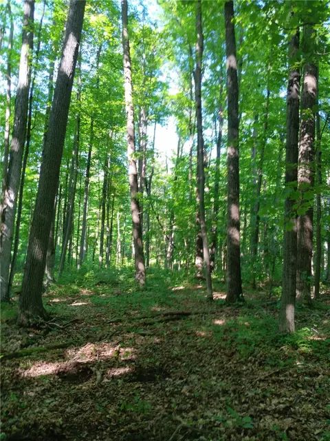 0 Townsend Rd, Dix, NY 14891 photo 2
