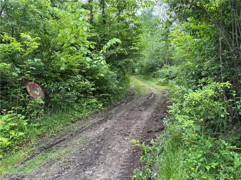 0 Townsend Rd, Dix, NY 14891