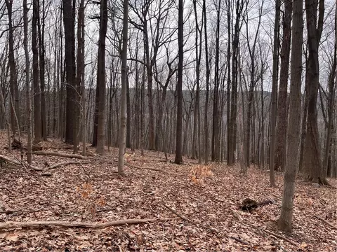 0 Rt-64, Bristol, NY 14424