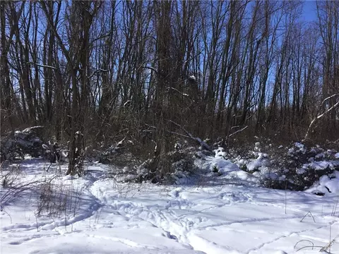 Creek Road, Batavia, NY 14020