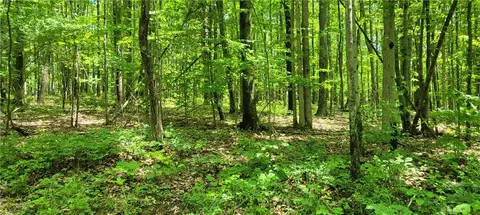 Hagerman Road, Chemung, NY 14825