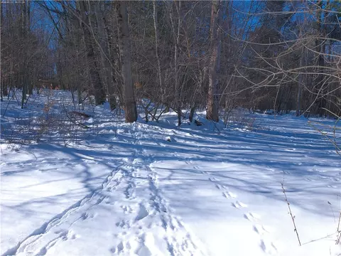 Bettsburg Road, Afton, NY 13730