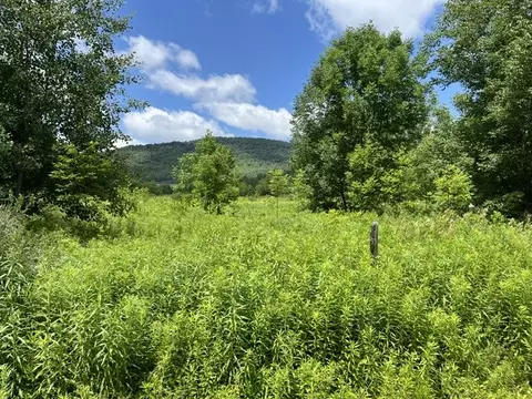 Narrow Notch Road, Stamford, NY 12167