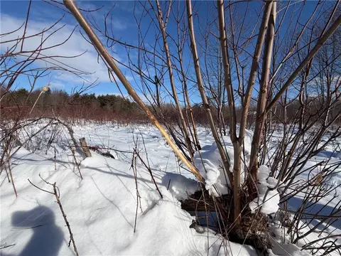 Carpenter Road, Evans, NY 14006 photo 12