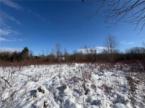 Carpenter Road, Evans, NY 14006 photo 14