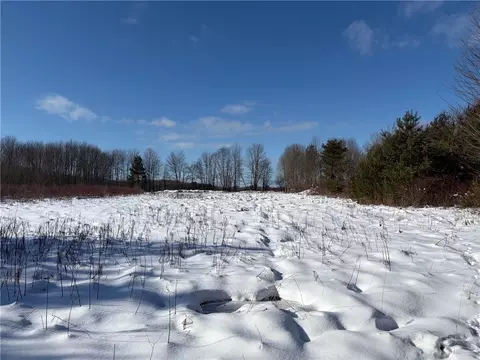 Carpenter Road, Evans, NY 14006 photo 4
