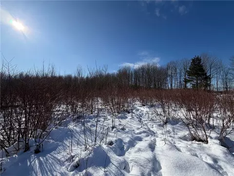 Carpenter Road, Evans, NY 14006 photo 9