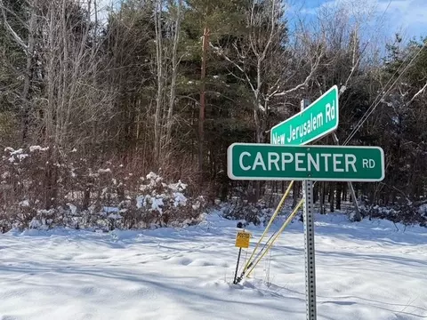 Carpenter Road, Evans, NY 14006 photo 15