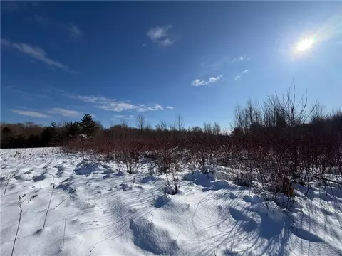Carpenter Road, Evans, NY 14006 photo 8