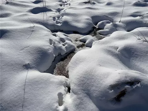 Carpenter Road, Evans, NY 14006 photo 6