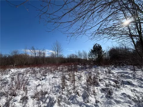 Carpenter Road, Evans, NY 14006 photo 13