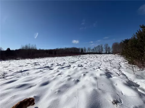 Carpenter Road, Evans, NY 14006 photo 5