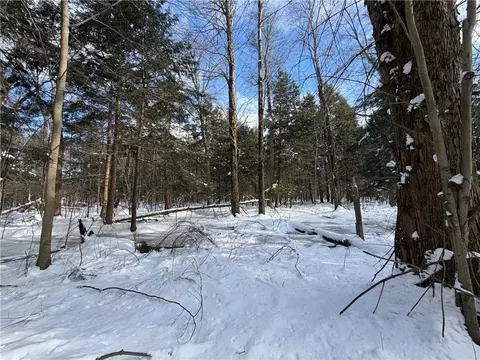 Carpenter Road, Evans, NY 14006 photo 14