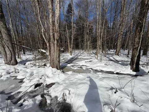 Carpenter Road, Evans, NY 14006 photo 8